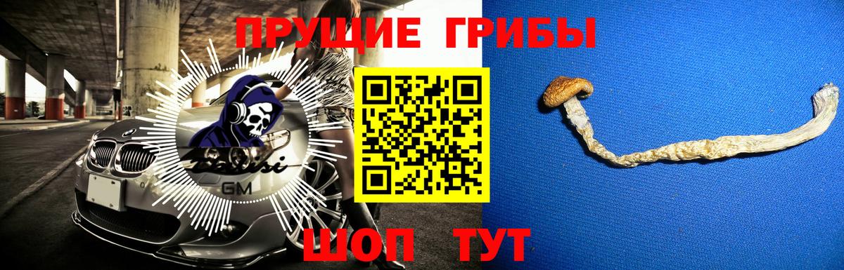 Ставрополь  Галлюциногенные грибы MAGIC MUSHROOMS  Вход с VPN 